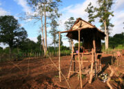 Tanah Perkampungan