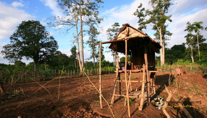 Tanah Perkampungan